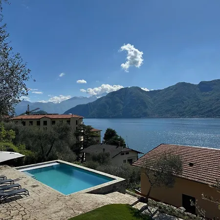 Degli Ulivi - *
