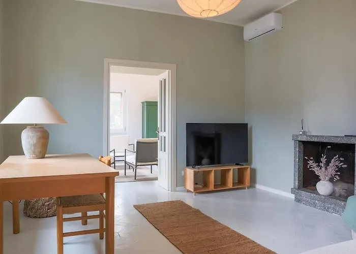 Degli Ulivi - Colonno