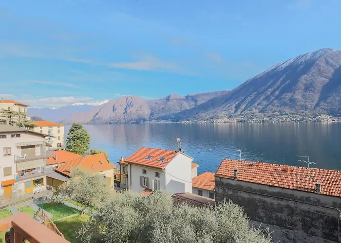 Degli Ulivi - Colonno