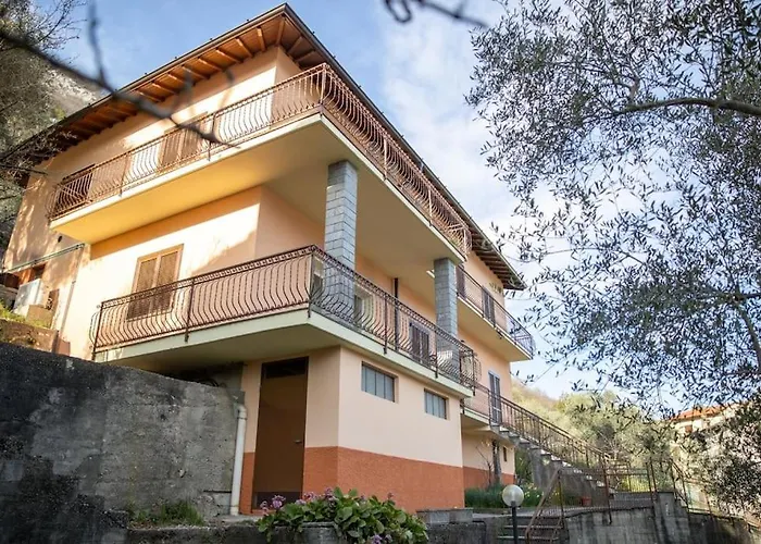 Degli Ulivi - Colonno