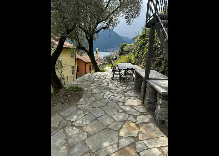 Degli Ulivi - Colonno