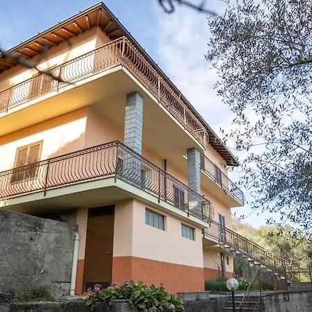 Degli Ulivi - Colonno