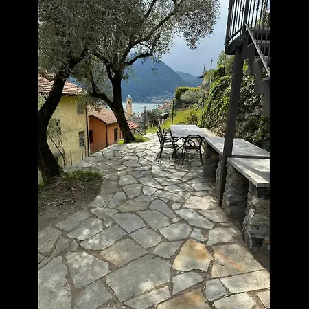 Degli Ulivi - Colonno