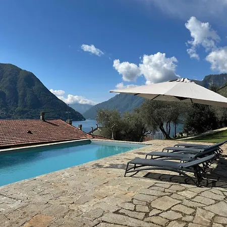 Degli Ulivi - Colonno