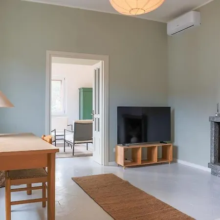 Degli Ulivi - Colonno