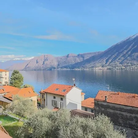 Degli Ulivi - Colonno