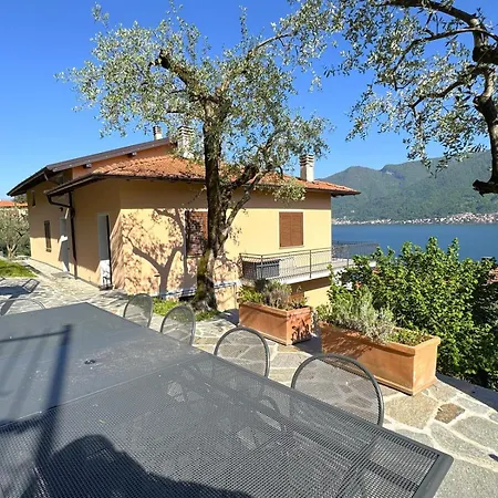 Degli Ulivi -